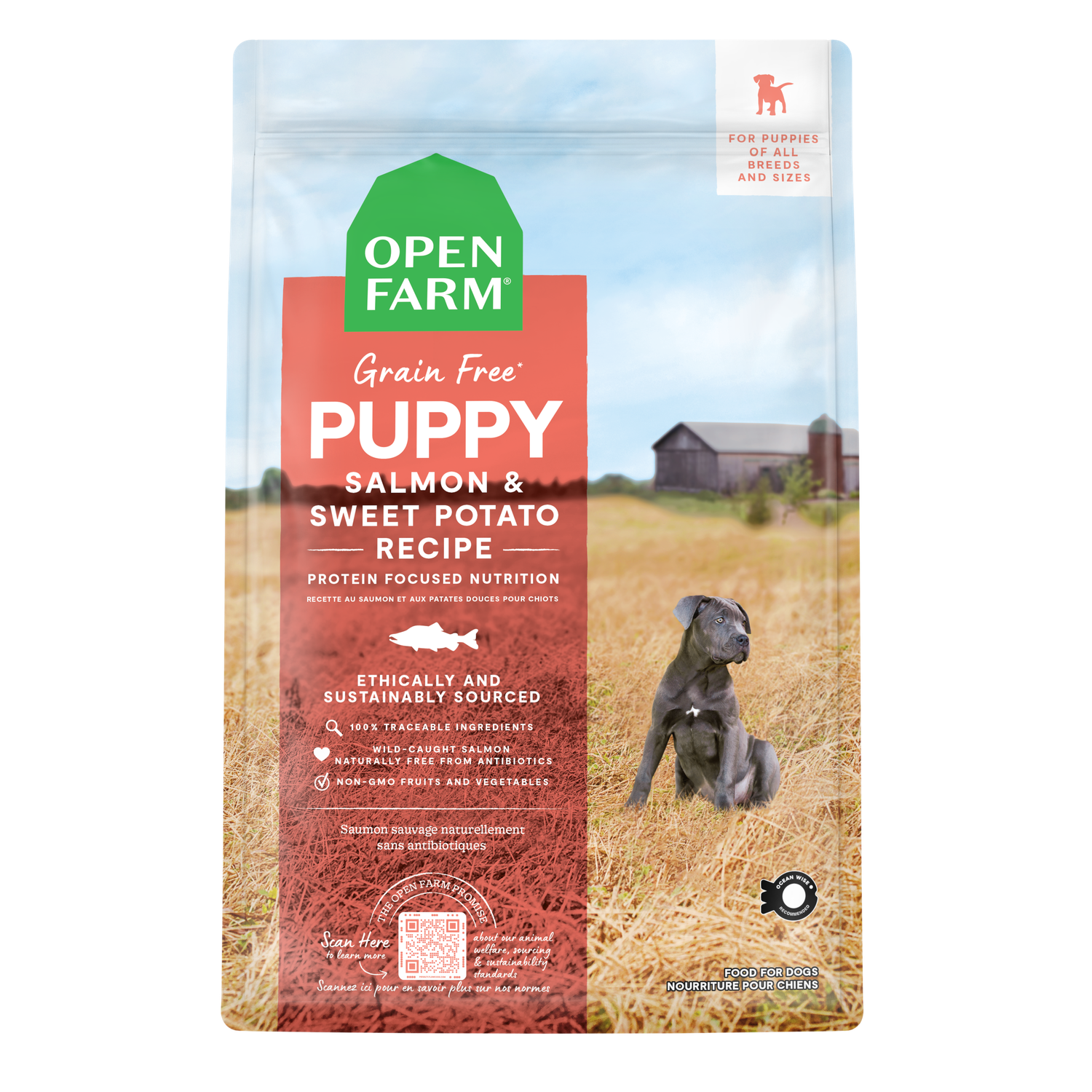 Open Farm Grain Free Salmon &amp; Sweet Potato Recipe Puppy Food