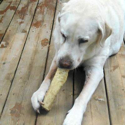 Bones, Bully Sticks &amp; Chews