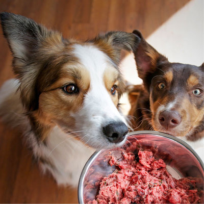 Frozen Raw &amp; Gently-Cooked Food