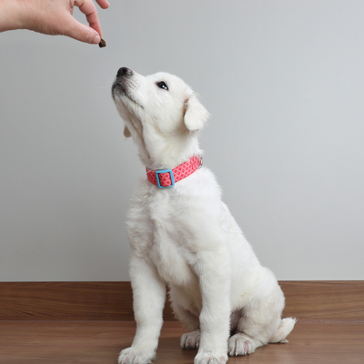 Treats