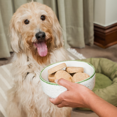 Freeze-dried &amp; Dehydrated Food