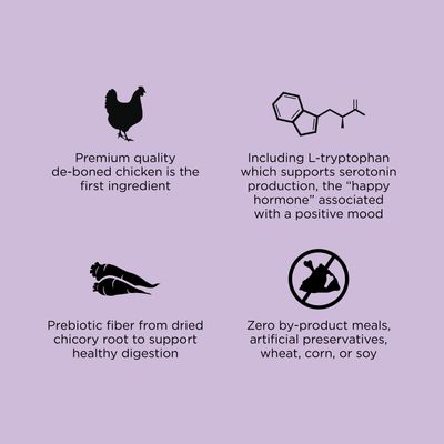 Go! Solutions Hairball Control & Urinary Care Chicken Recipe with Grains for cats