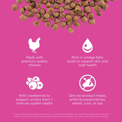 Go! Solutions Skin + Coat Care Chicken Recipe With Grains for cats