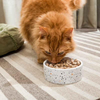 Freeze-Dried &amp; Dehydrated Food