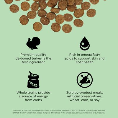 Go! Solutions Skin + Coat Care Turkey Recipe With Grains for dogs