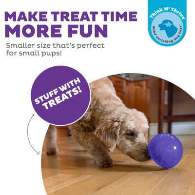 Orbee-Tuff Lil' Snoop Interactive Treat Dispensing Dog Toy - Purple
