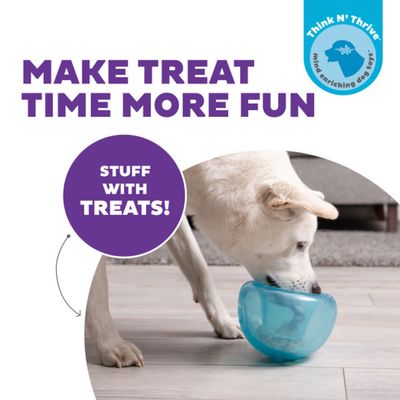 Orbee-Tuff Snoop Interactive Treat Dispensing Dog Toy - Orange