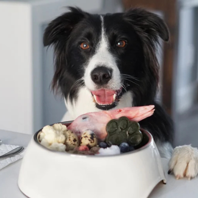 Frozen Bones, Treats &amp; Toppers