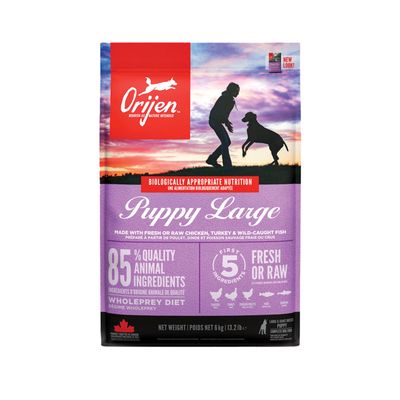 Orijen Large Breed Puppy Food