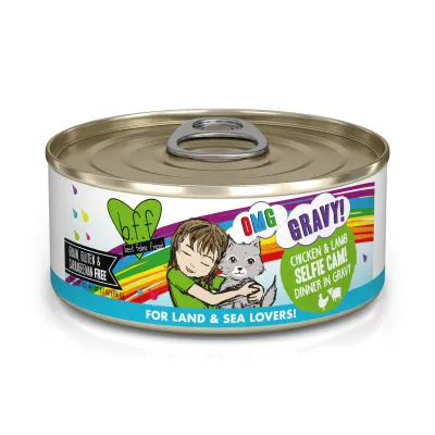 BFF Selfie Cam Chicken &amp; Lamb Cat Food 5.5oz