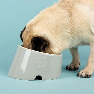 Scruffs Icon Flat Faced Dog Bowl