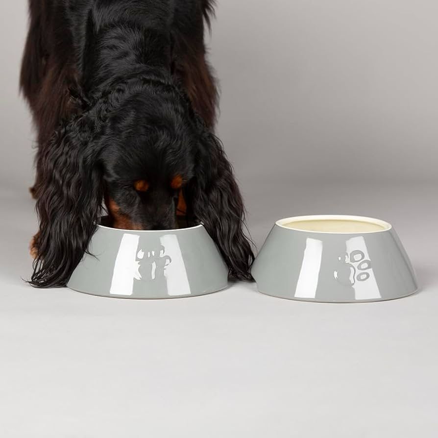 Scruffs Icon Long Eared Dog Food &amp; Water Bowl