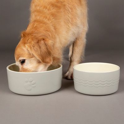 Scruffs Icon Food Bowl 25cm