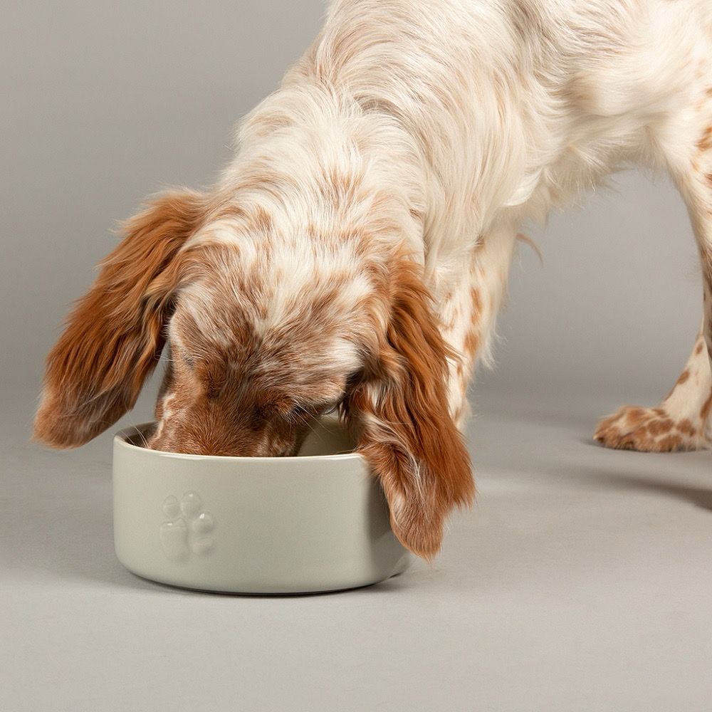 Scruffs Icon Food Bowl 19cm