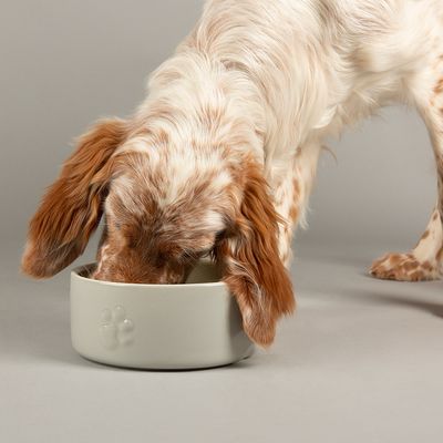 Scruffs Icon Food Bowl 19cm