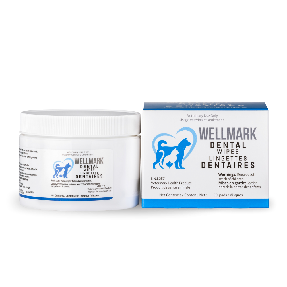 Wellmark Dental Wipes 50ct