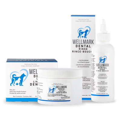 Wellmark Dental Wipes 50ct