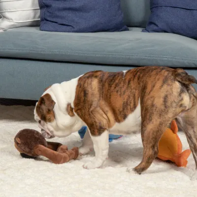 goDog Action Plush Brown Ape with Chew Guard Technology Animated Squeaker Dog Toy