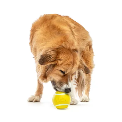 GURU Tennis Treat Ball Medium Dog Toy