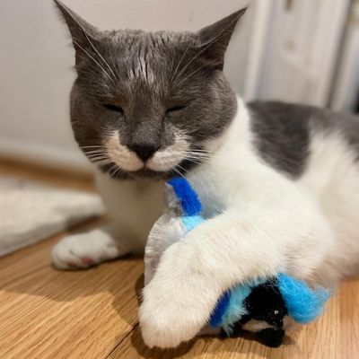 Spot Song Birds 5" Cat Toy