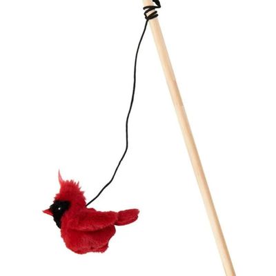 Spot Song Bird Teaser Wand Cat Toy