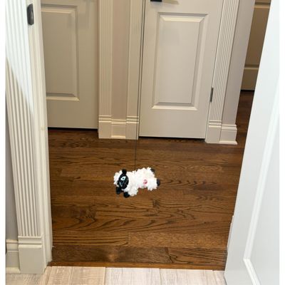 Spot Baa Baa Black Sheep A-Door-Able Cat Toy