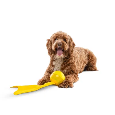 GURU Bonanza Ball Medium Dog Toy