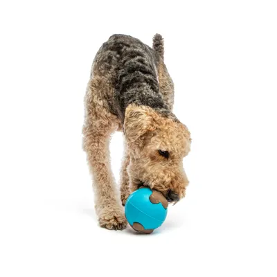 GURU BusyBall Medium/Large Treat Dispensing Dog Toy