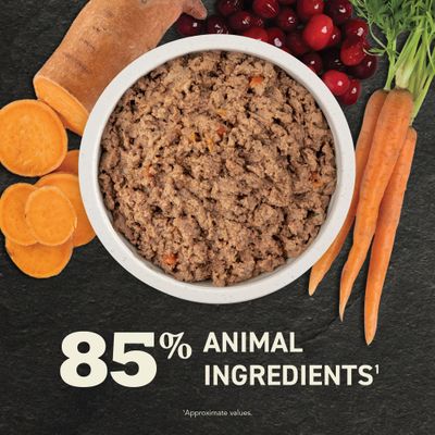 Acana Premium Pate Puppy Recipe in Bone Broth 12.8oz