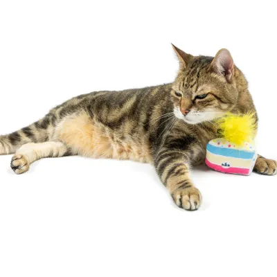 Huxley &amp; Kent Meh A Wish Cake Cat Toy