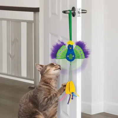 Kong Connects Peacock