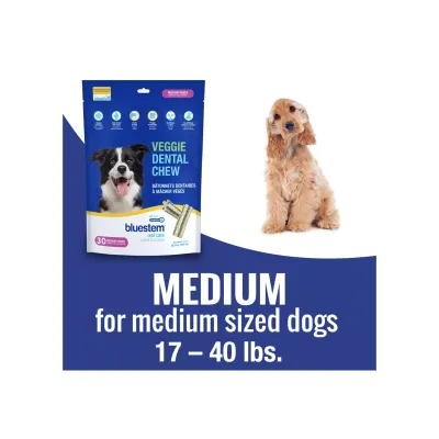 bluestem™ Veggie Dental Chews with coactiv+® for Dogs Medium (30ct)