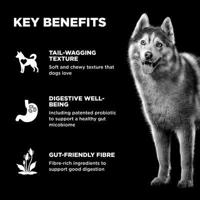 Go! Solutions Benefit Chews Digestion + Gut Health Salmon Recipe for dogs