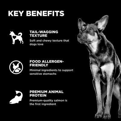 Go! Solutions Benefit Chews Sensitivities Limited Ingredients Salmon Recipe for dogs 170g