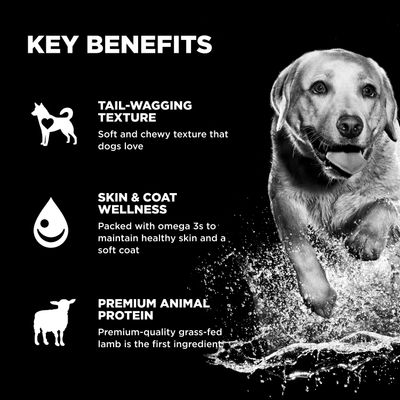 Go! Solutions Benefit Chews Skin + Coat Care Lamb Recipe for dogs 170g
