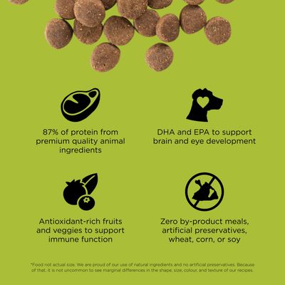 Go! Solutions Carnivore Grain-Free Chicken, Turkey + Duck Puppy Recipe for dogs