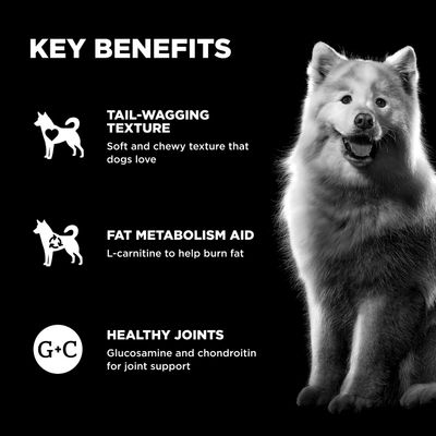 Go! Solutions Benefit Chews Weight Management + Joint Care Chicken Recipe for dogs 170g