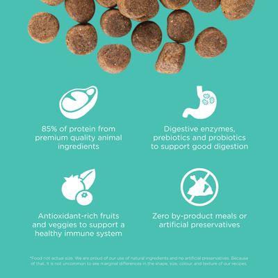 Go! Solutions Carnivore Grain-Free Chicken, Turkey + Duck Adult Recipe for dogs