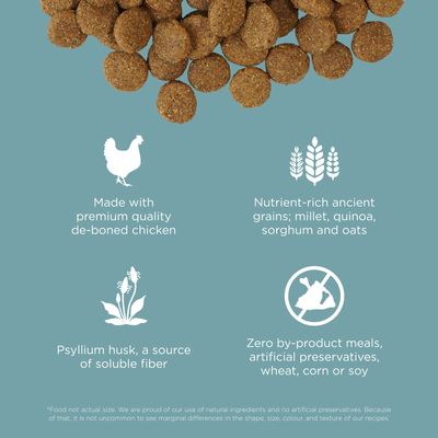 Go! Solutions Digestion + Gut Health Chicken Recipe with Ancient Grains for dogs