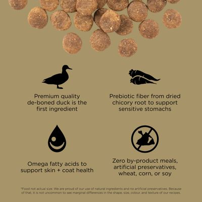 Go! Solutions Sensitivities Limited Ingredient Grain Free Duck recipe for dogs