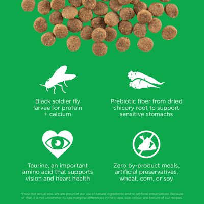 Go! Solutions Sensitivities Limited Ingredient Grain Free Insect recipe for dogs