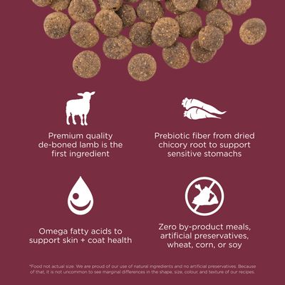 Go! Solutions Sensitivities Limited Ingredient Grain Free Lamb recipe for dogs