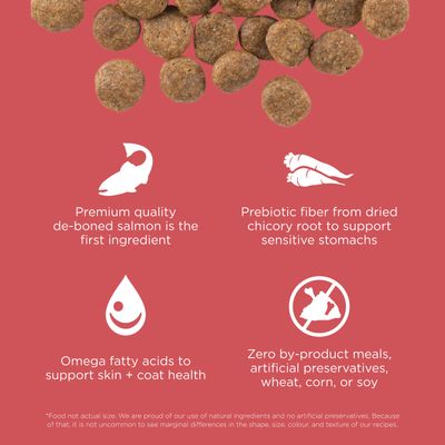 Go! Solutions Sensitivities Limited Ingredient Grain Free Salmon recipe for dogs