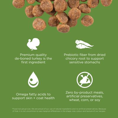 Go! Solutions Sensitivities Limited Ingredient Grain Free Turkey recipe for dogs