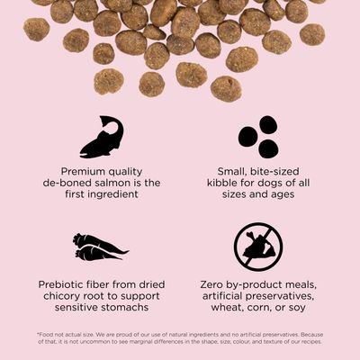 Go! Solutions Sensitivities Small Bites Limited Ingredient Grain Free Salmon recipe for dogs