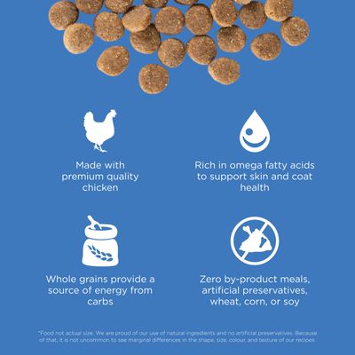 Go! Solutions Skin + Coat Care Chicken Recipe With Grains for dogs