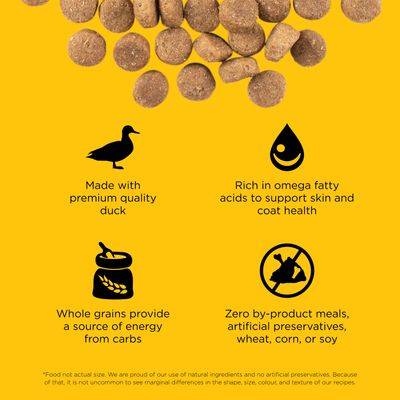 Go! Solutions Skin + Coat Care Duck Recipe With Grains for dogs