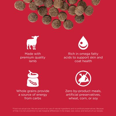Go! Solutions Skin + Coat Care Lamb Recipe With Grains for dogs