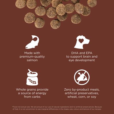 Go! Solutions Skin + Coat Care Large Breed Puppy Salmon Recipe With Grains for dogs