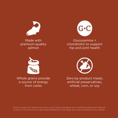 Go! Solutions Skin + Coat Care Large Breed Adult Salmon Recipe With Grains for dogs